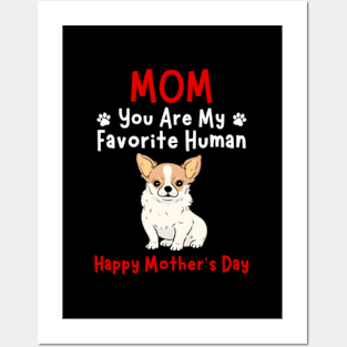 Chihuahua Mom You Are My Favorite Hu HapMother'S Day Posters and Art